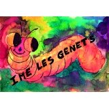 IME Les Genêts