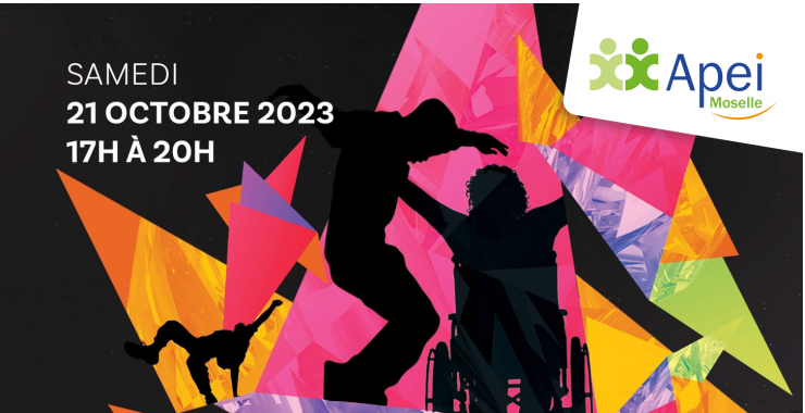 Spectacle "Chacun son Histo'Arts"